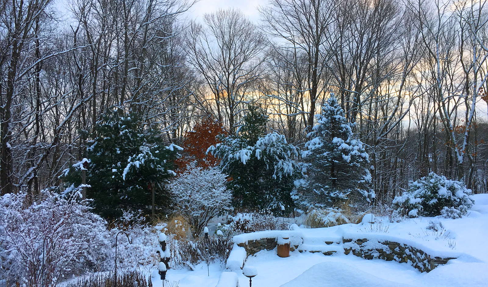 Fresh fallen snow covers our back yard.